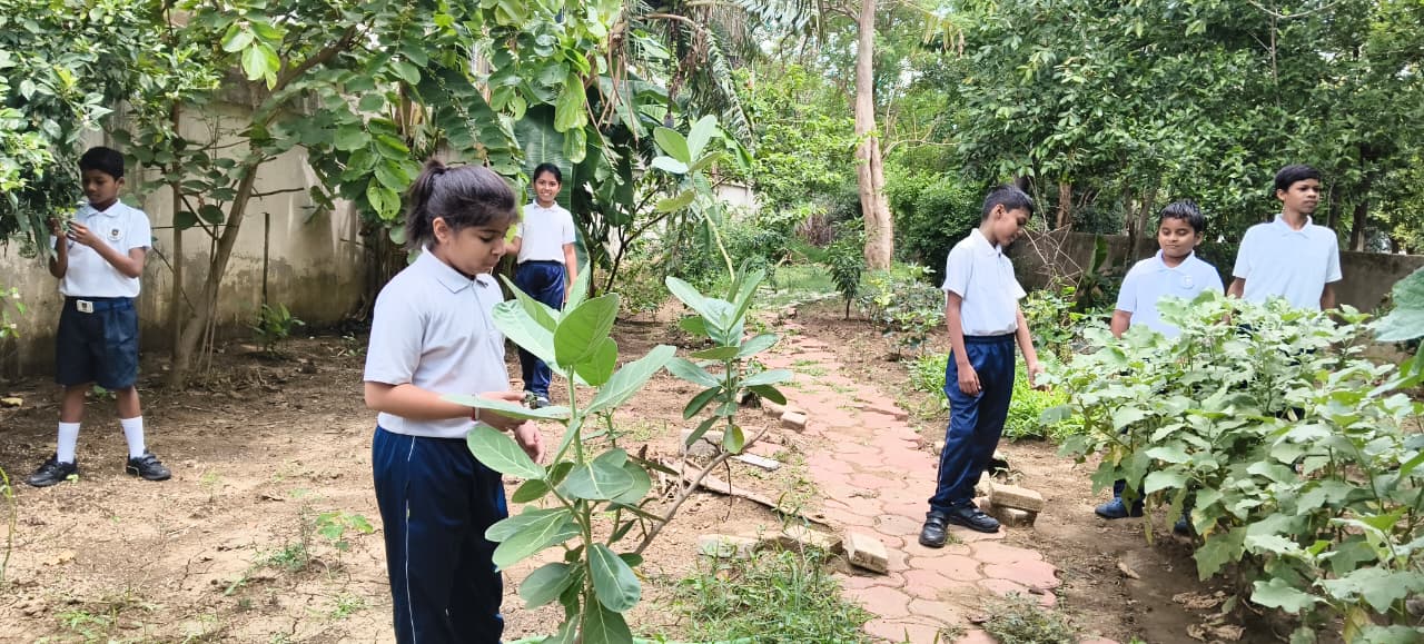 Botanical garden